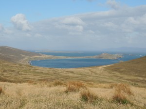 Falkland Islands farmland