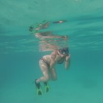 Snorkelling off Iririki Island – best snorkelling of the trip.